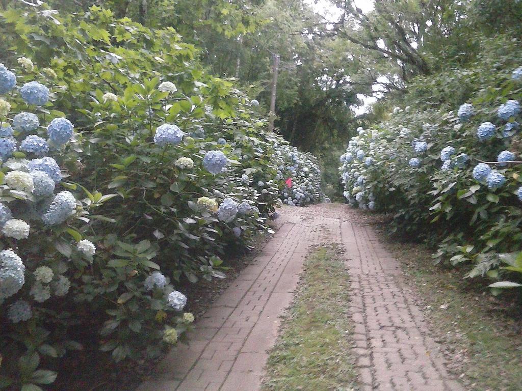 Отель Nanda'S House Pousada Сан-Франсиску-ди-Паула Экстерьер фото